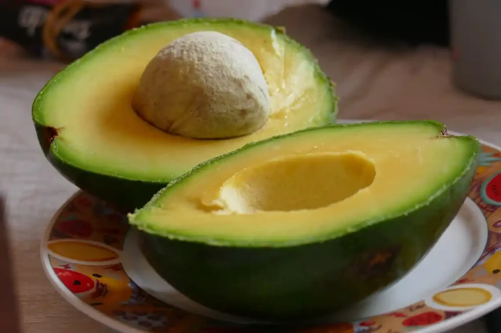 Avocado Avocado