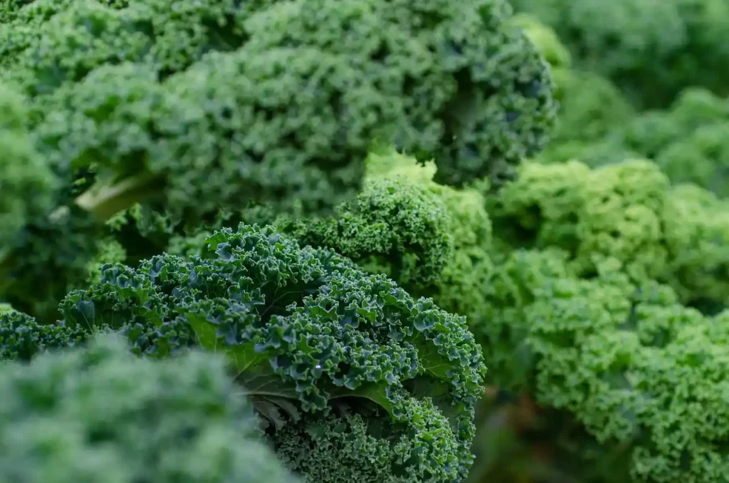 Kale Kale