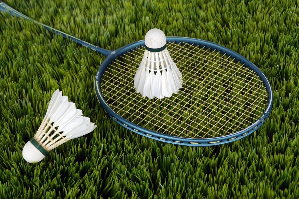 Tennis and badminton