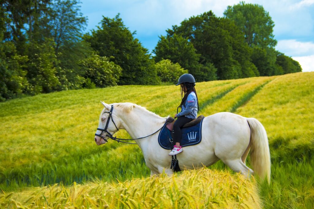 What is horseback riding? A Complete Guide. Horseback Riding