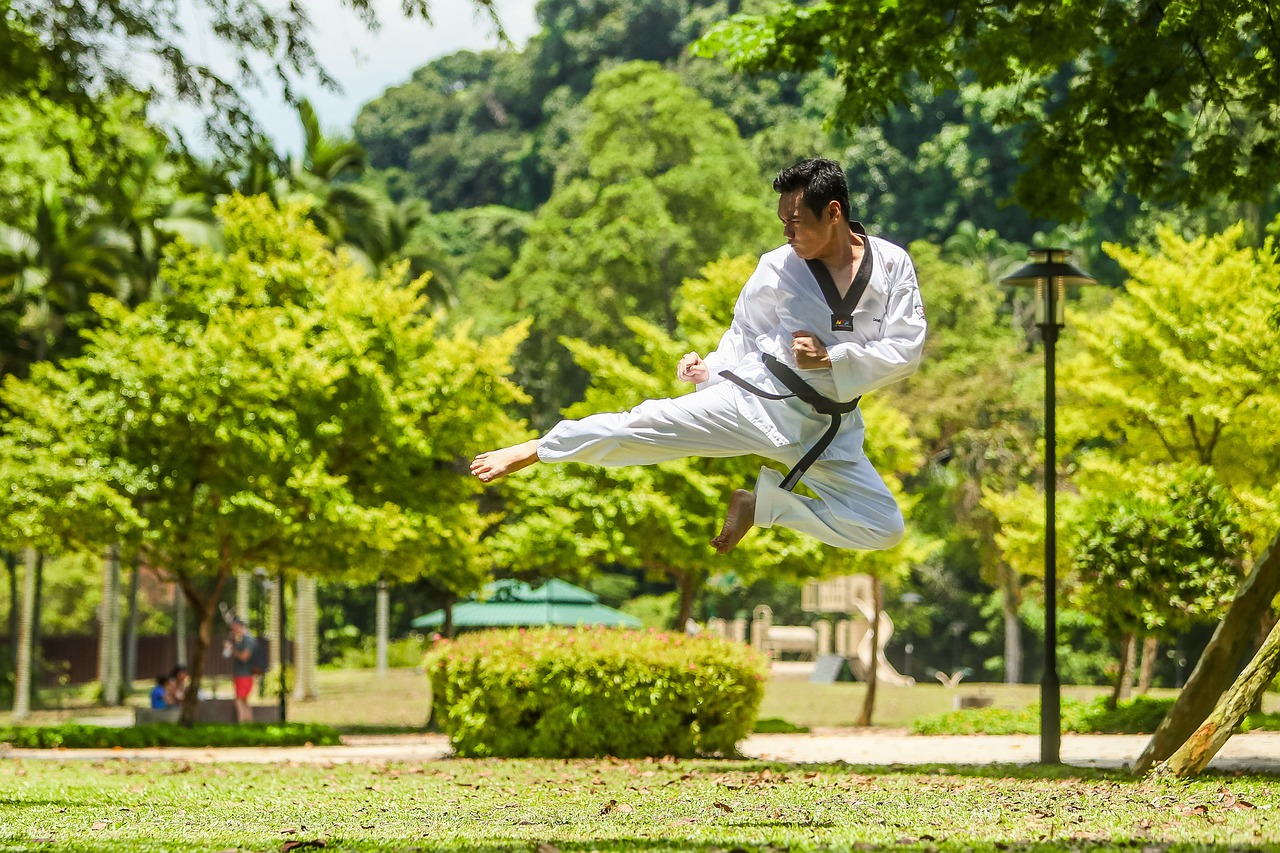 Learn all the details about Martial Arts