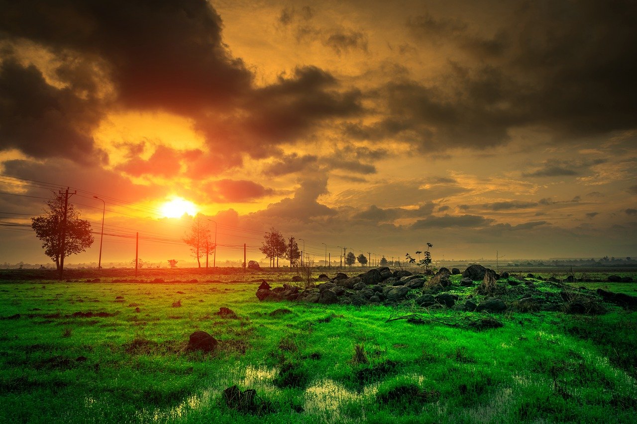 10 daily habits to boost your mood and too be happy every day